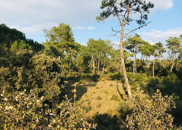 Сasa de vacaciones Maison Des Loriots, Charme Marin, A 100m